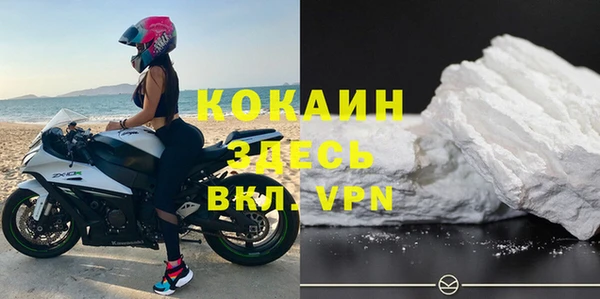 кокс Арсеньев