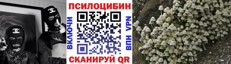Галлюциногенные грибы GOLDEN TEACHER  закладка  Покров 
